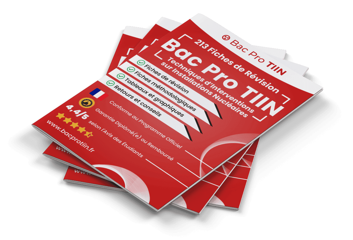 213 Fiches de Révision pour le Bac Pro TIIN